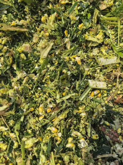 Apakah kekuatan teras yang menjadikan Yiman Agriculture pembekal ideal anda untuk projek import pukal kubis jeruk?