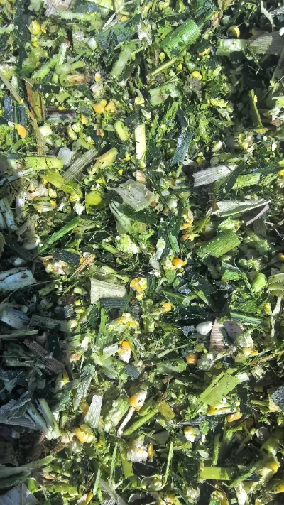 Dengan cabaran yang kerap berlaku dalam penyimpanan dan pengangkutan keluaran segar global, bagaimanakah kita boleh mengekalkan kualiti kubis bulat segar dari hujung ke hujung daripada Yiman Agricultural?