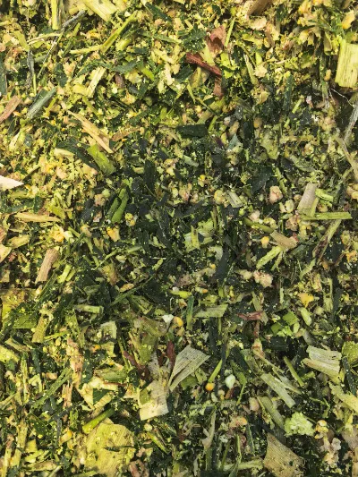 Dengan kejadian cuaca kelembapan tinggi yang kerap berlaku di seluruh dunia, bagaimanakah silaj jagung segar berkualiti tinggi boleh dihasilkan untuk keadaan kelembapan tinggi menggunakan proses saintifik?