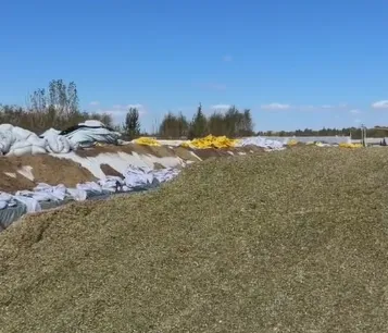 Bagaimana untuk Membina Lubang Silaj Tahan Lama untuk Simpanan Makanan Ladang di Ladang Ternakan Besar?
