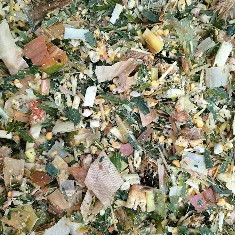 Silaj Jagung Campuran Makanan