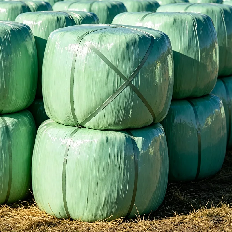 Silaj Jagung Baled Terlindung UV